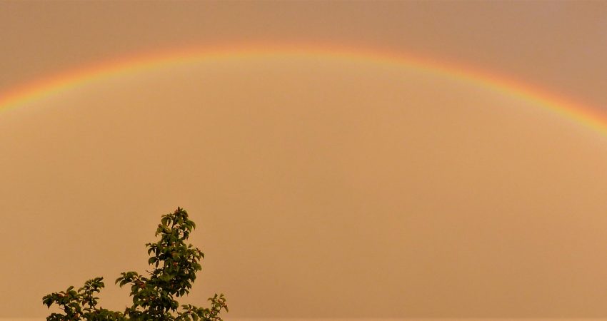 Regenbogen Regenbogen über Malsch